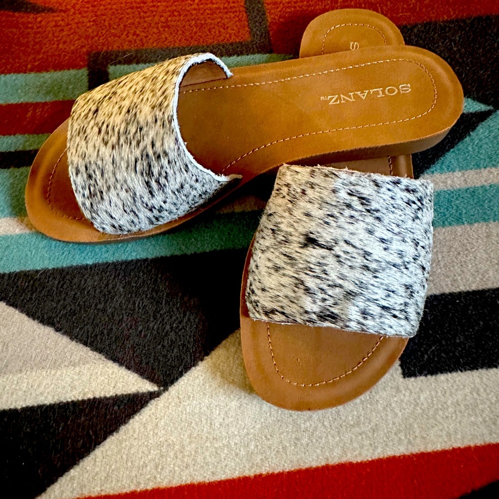 Western Slides, hair on hide.